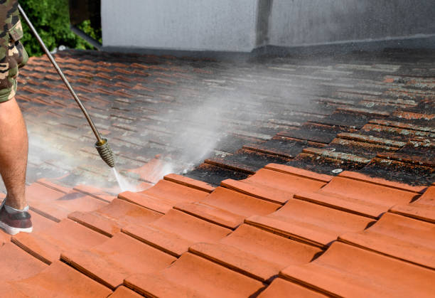 Best Power Washing Near Me  in Newark, NJ